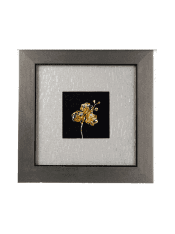 Tranh hoa lan Phalaenopsis 4.5 inch