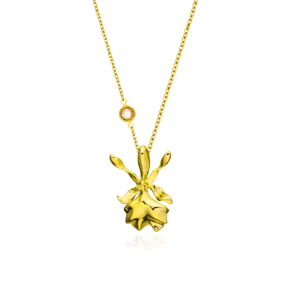 Dây chuyền hoa lan Epidendrum Tháng 11